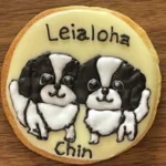 チワワブリーダーLeialoha